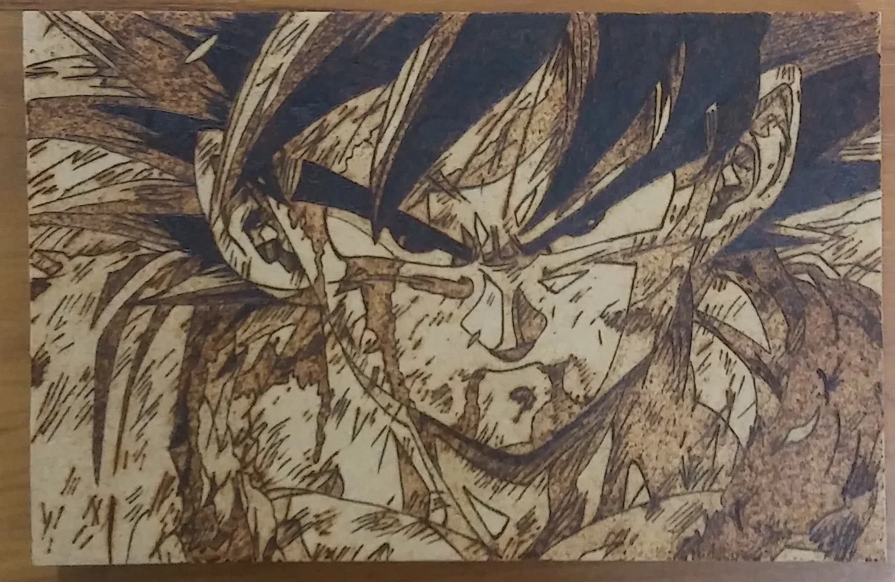Sombra del Guerrero: Goku en Silencio