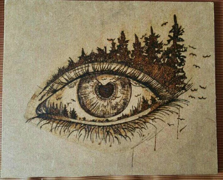 Mirada del Bosque: Ojo y Naturaleza