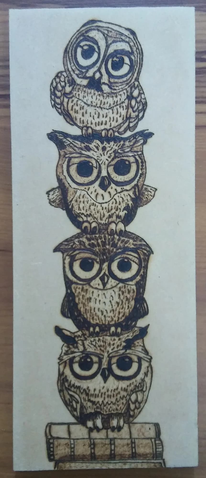 Biblioteca Nocturna: Búhos de Sabiduría