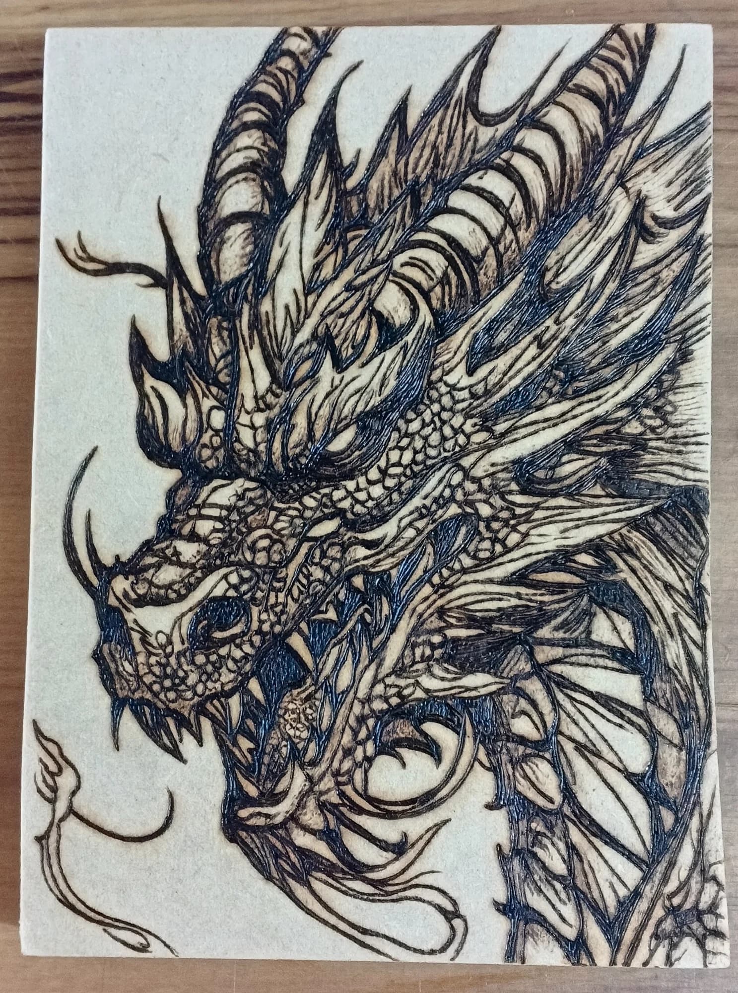 Espíritu del Dragón: Shenlong en Llamas