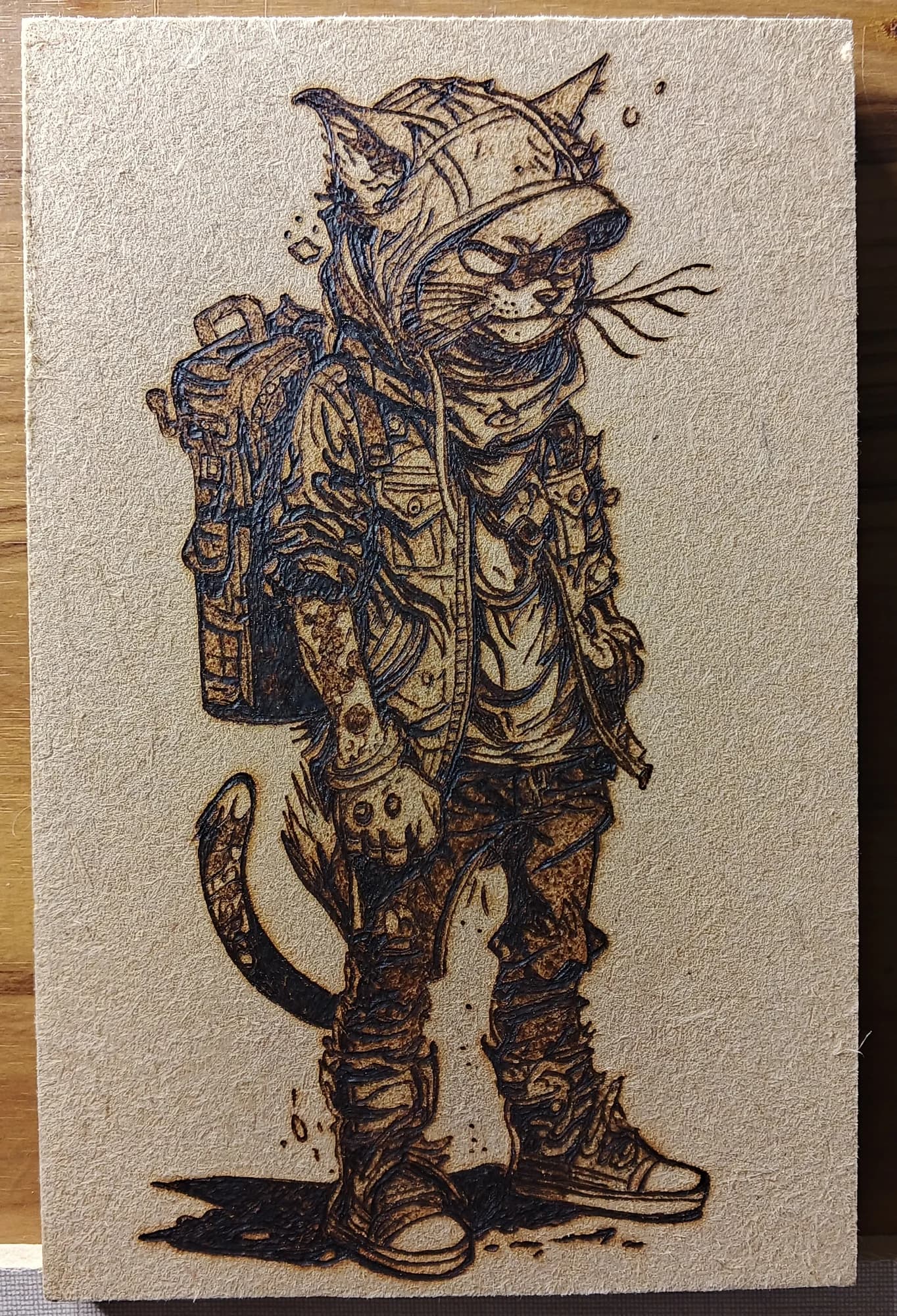 Callejero con Alma: Gato Urbano